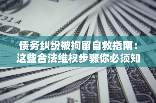 济南债务纠纷被拘留自救指南：这些合法维权步骤你必须知道！