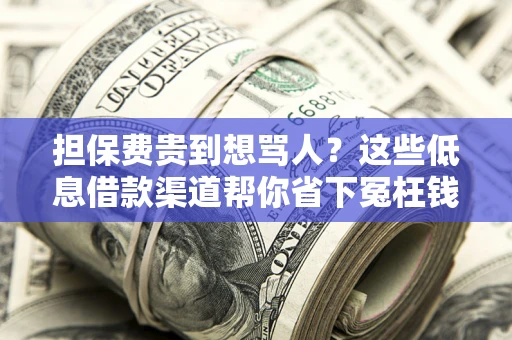 济南担保费贵到想骂人？这些低息借款渠道帮你省下冤枉钱
