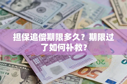 济南担保追偿期限多久？期限过了如何补救？