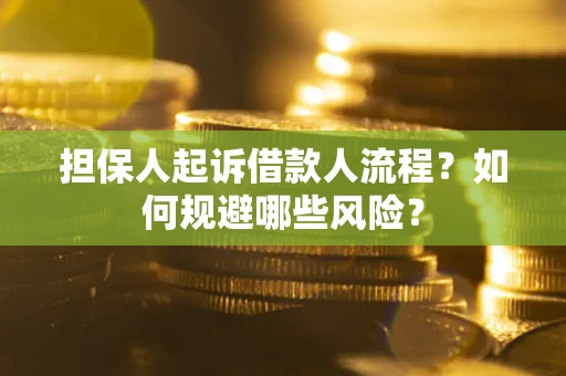 济南担保人起诉借款人流程？如何规避哪些风险？